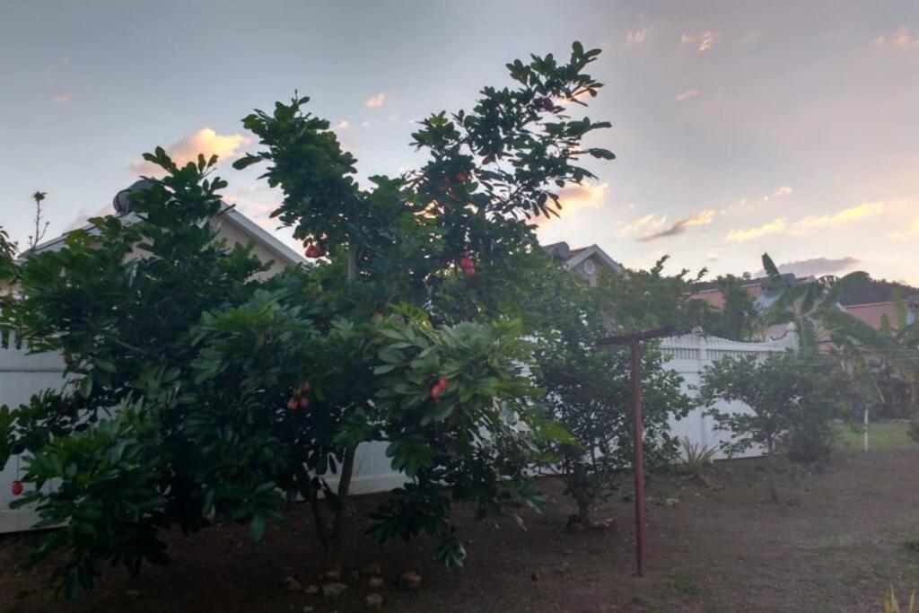 Comfortable Strategic Lodging Quarters Spanish Town Luaran gambar